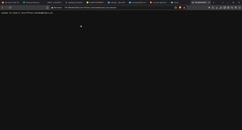 brave_pPmj4h7vjf.png